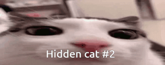 Hidden Cat